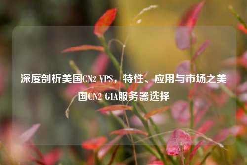 深度剖析美国CN2 VPS，特性、应用与市场之美国CN2 GIA服务器选择