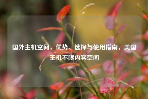 国外主机空间，优势、选择与使用指南，美国主机不限内容空间