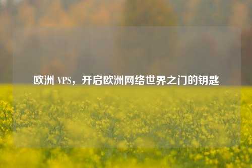欧洲 VPS，开启欧洲     世界之门的钥匙