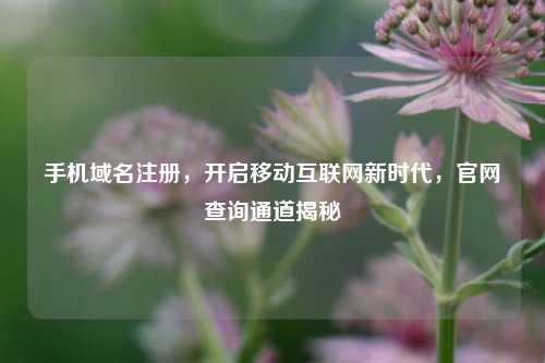 手机域名注册，开启移动互联网新时代，官网查询通道揭秘
