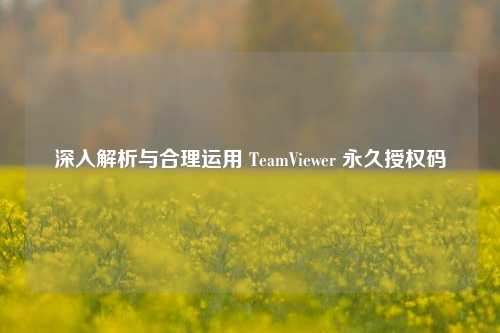 深入解析与合理运用 TeamViewer 永久授权码