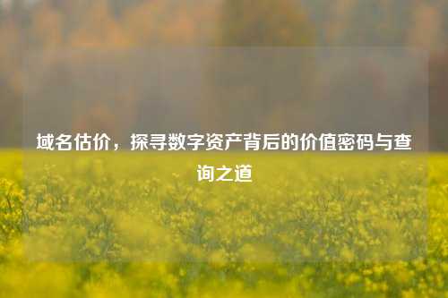 域名估价，探寻数字资产背后的价值密码与查询之道