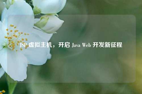      P 虚拟主机，开启 Java Web 开发新征程