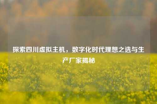 探索四川虚拟主机，数字化时     想之选与生产厂家揭秘