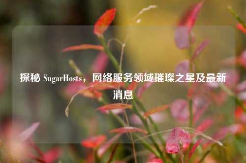 探秘 SugarHosts，     服务领域璀璨之星及最新消息
