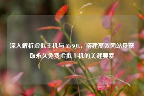 深入解析虚拟主机与 MySQL，搭建高效网站及获取永久免费虚拟主机的关键要素