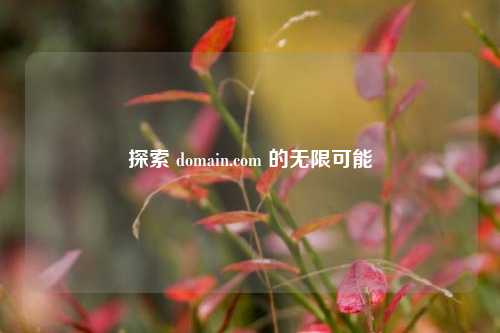探索 domain.com 的无限可能