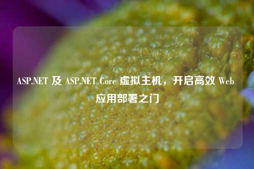 ASP.NET 及 ASP.NET Core 虚拟主机,开启高效 Web 应用部署之门