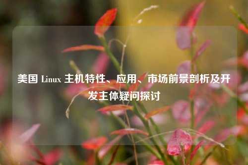 美国 Linux 主机特性、应用、市场前景剖析及开发主体疑问探讨