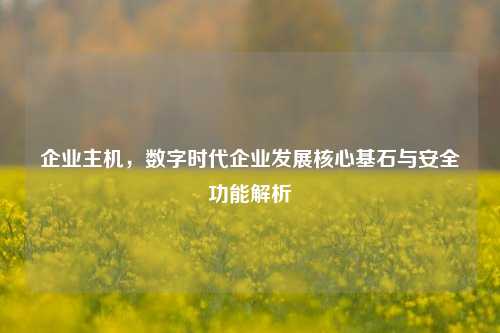 企业主机，数字时代企业发展核心基石与安全功能解析