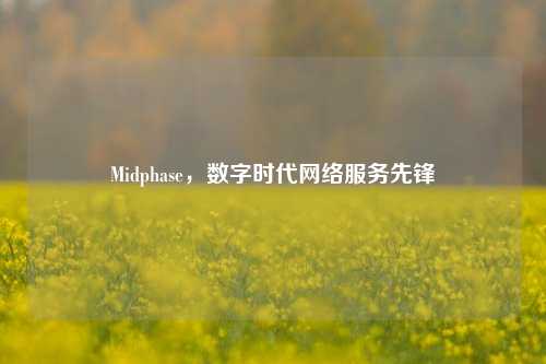 Midphase，数字时代     服务先锋