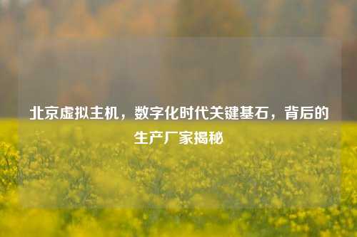 北京虚拟主机,数字化时代关键基石,背后的生产厂家揭秘
