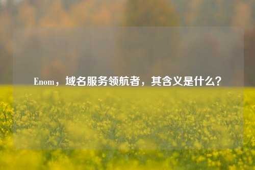 Enom,域名服务领航者,其含义是什么?