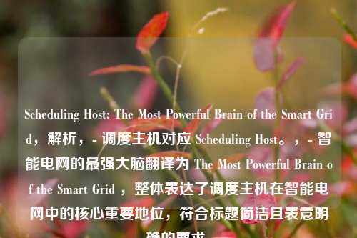 Sche     ng Host: The Most Powerful Brain of the Smart Grid，解析，- 调度主机对应 Sche     ng Host。，- 智能电网的最强大脑翻译为 The Most Powerful Brain of the Smart Grid ，整体表达了调度主机在智能电网中的核心重要地位，符合标题简洁且表意明确的要求。
