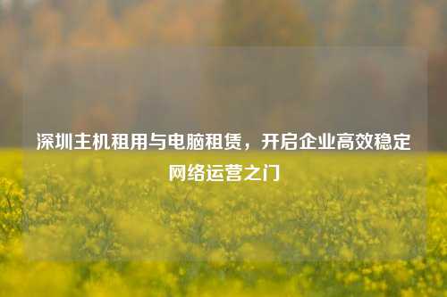 深圳主机租用与电脑租赁，开启企业高效稳定     运营之门