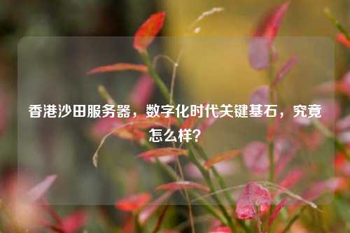 香港沙田服务器，数字化时代关键基石，究竟怎么样？