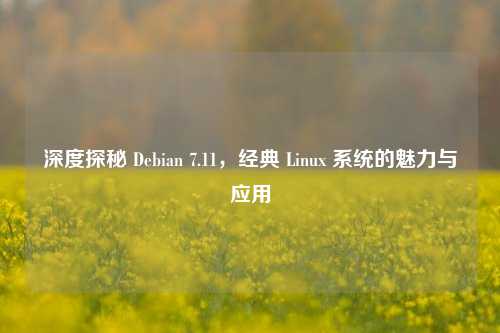 深度探秘 Debian 7.11，经典 Linux 系统的魅力与应用