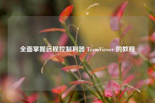 全面掌握远程控制利器 TeamViewer 的教程