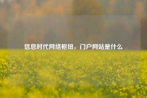 信息时代     枢纽，门户网站是什么