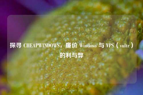 探寻 CHEAPWINDOWS，廉价 Windows 与 VPS（vultr）的利与弊