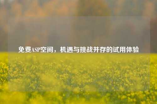 免费ASP空间，机遇与挑战并存的试用体验