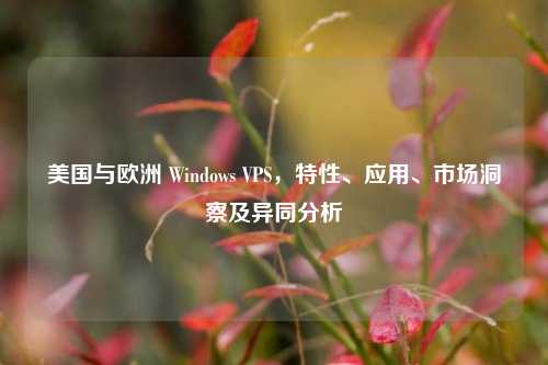 美国与欧洲 Windows VPS,特性、应用、市场洞察及异同分析