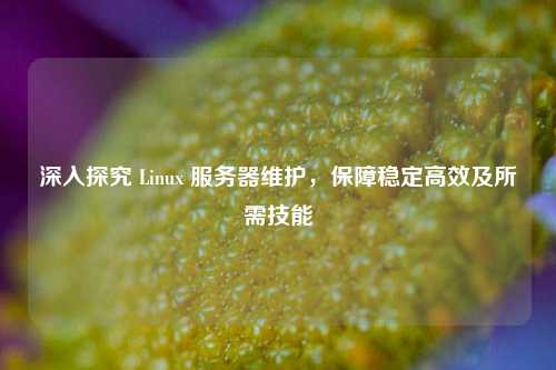 深入探究 Linux 服务器维护，保障稳定高效及所需技能