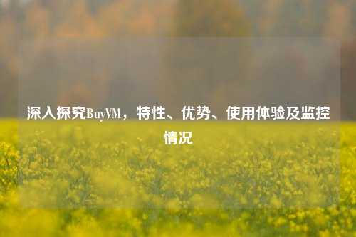 深入探究BuyVM,特性、优势、使用体验及监控情况