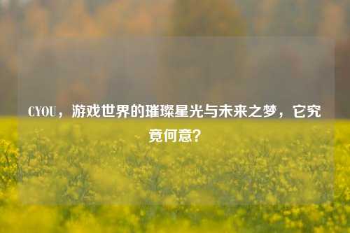 CYOU，游戏世界的璀璨星光与未来之梦，它究竟何意？