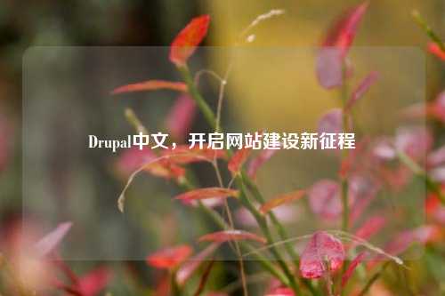 Drupal中文，开启网站建设新征程