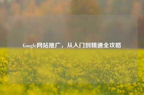 Google网站推广，从入门到精通全攻略