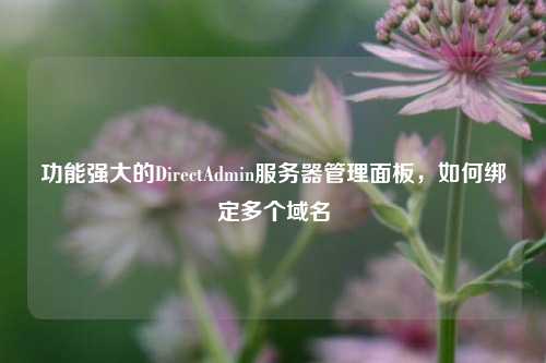 功能强大的DirectAdmin服务器管理面板，如何绑定多个域名