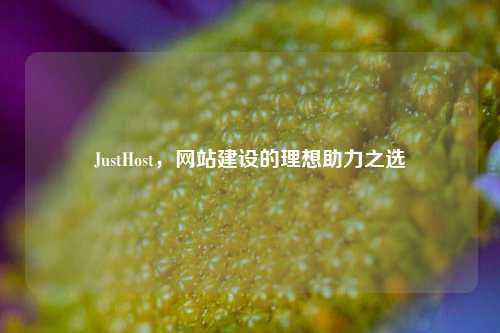 JustHost，网站建设的理想助力之选