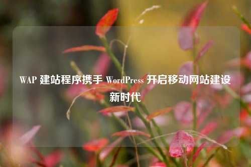 WAP 建站程序携手 WordPress 开启移动网站建设新时代
