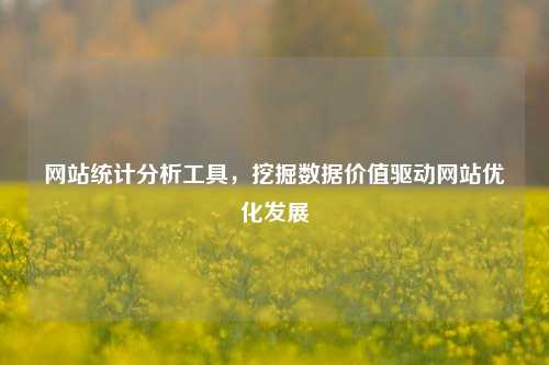 网站统计分析工具，挖掘数据价值驱动网站优化发展