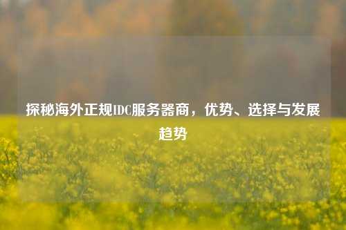探秘海外正规IDC服务器商,优势、选择与发展趋势