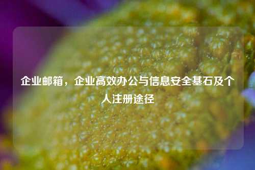企业邮箱，企业高效办公与信息安全基石及个人注册途径