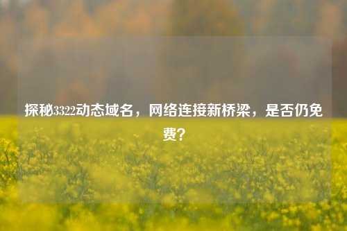 探秘3322动态域名，     连接新桥梁，是否仍免费？