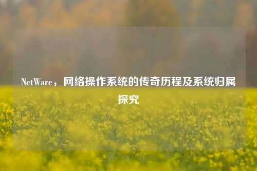 NetWare，     操作系统的传奇历程及系统归属探究