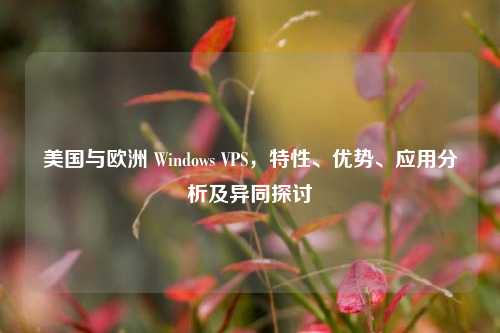 美国与欧洲 Windows VPS，特性、优势、应用分析及异同探讨