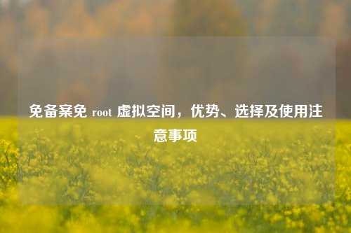 免备案免 root 虚拟空间,优势、选择及使用注意事项