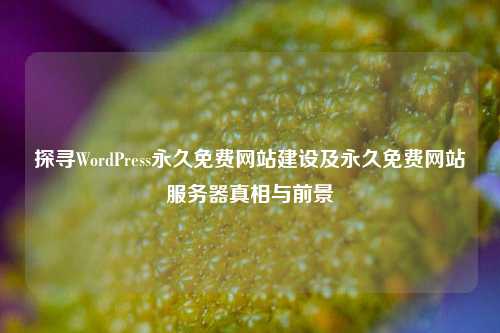 探寻WordPress永久免费网站建设及永久免费网站服务器真相与前景