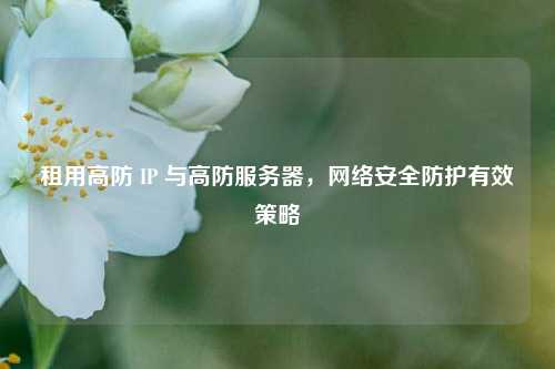 租用高防 IP 与高防服务器，     安全防护有效策略