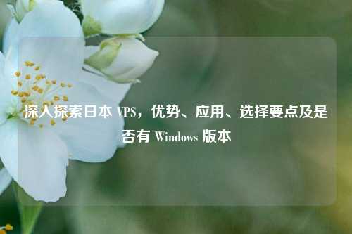 深入探索日本 VPS，优势、应用、选择要点及是否有 Windows 版本