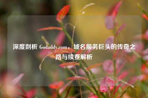 深度剖析 Godaddy.com，域名服务巨头的传奇之路与续费解析
