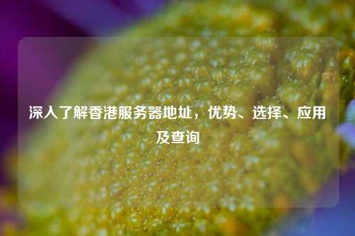 深入了解香港服务器地址，优势、选择、应用及查询