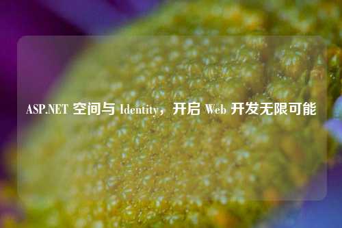 ASP.NET 空间与 Identity，开启 Web 开发无限可能
