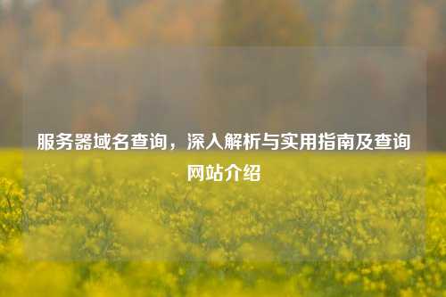 服务器域名查询，深入解析与实用指南及查询网站介绍