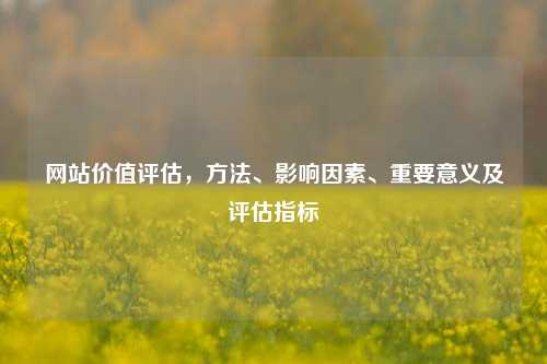 网站价值评估，     、影响因素、重要意义及评估指标