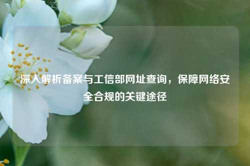 深入解析备案与工信部网址查询，保障     安全合规的关键途径